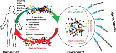 Effects of NaCl Concentrations on Growth Patterns, Phenotypes Associated With Virulence, and Energy Metabolism in Escherichia coli BW25113